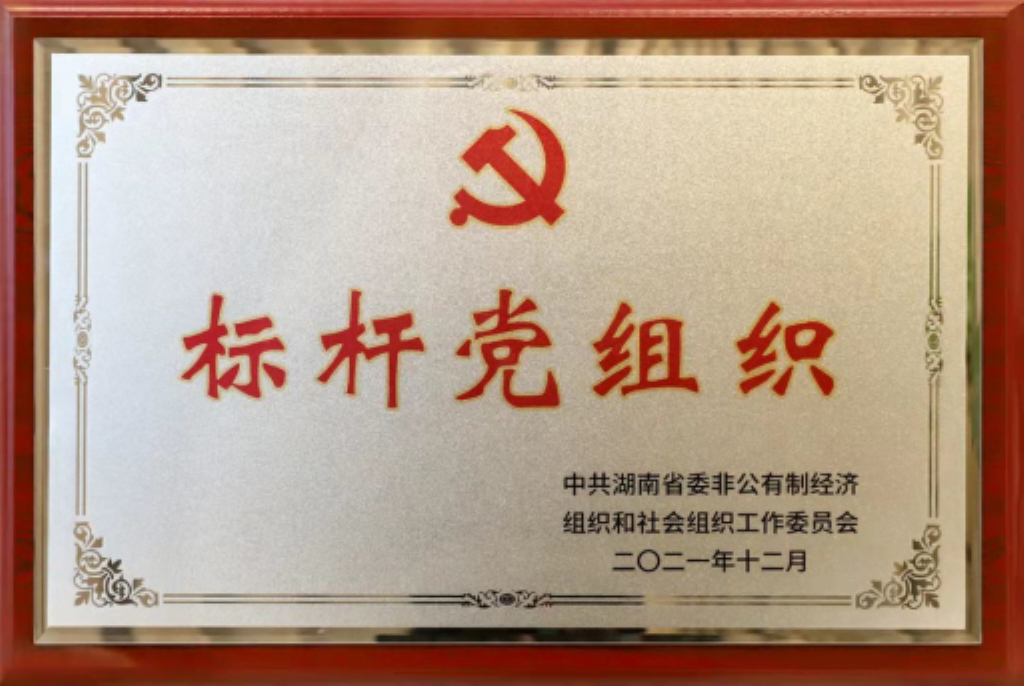 标杆党组织2021.12.jpg
